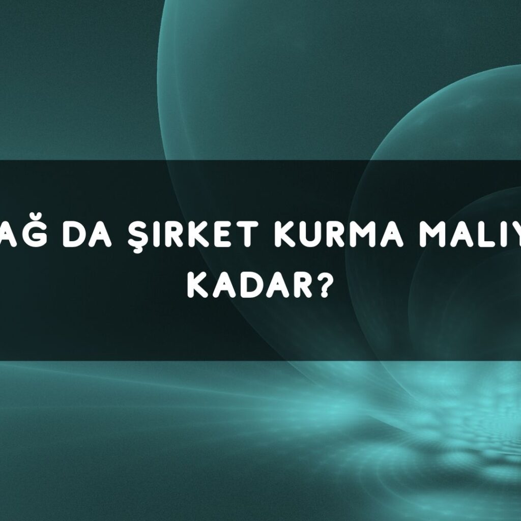 Karadağ Da Şirket Kurma Maliyeti Ne Kadar?